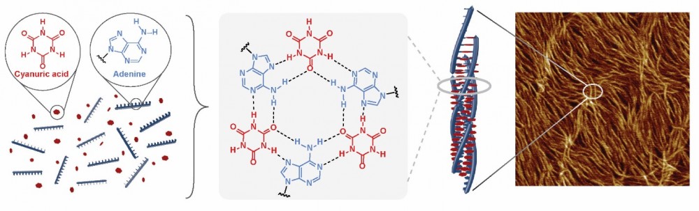 adenine