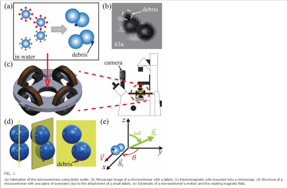 (Image credits : Applied Physics Letters)