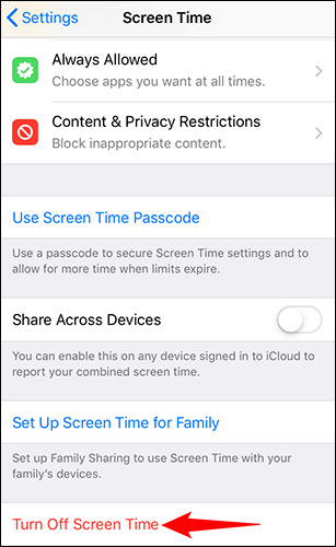 Select "Turn Off Screen Time" at the bottom.