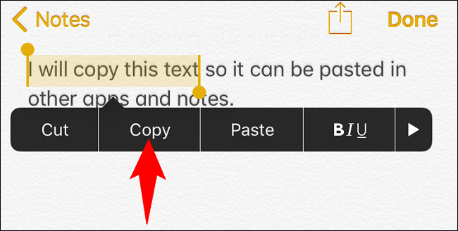 Choose "Copy" in the menu.