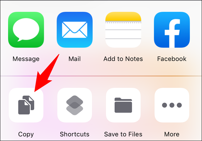 Tap "Copy" in the bottom-left corner.