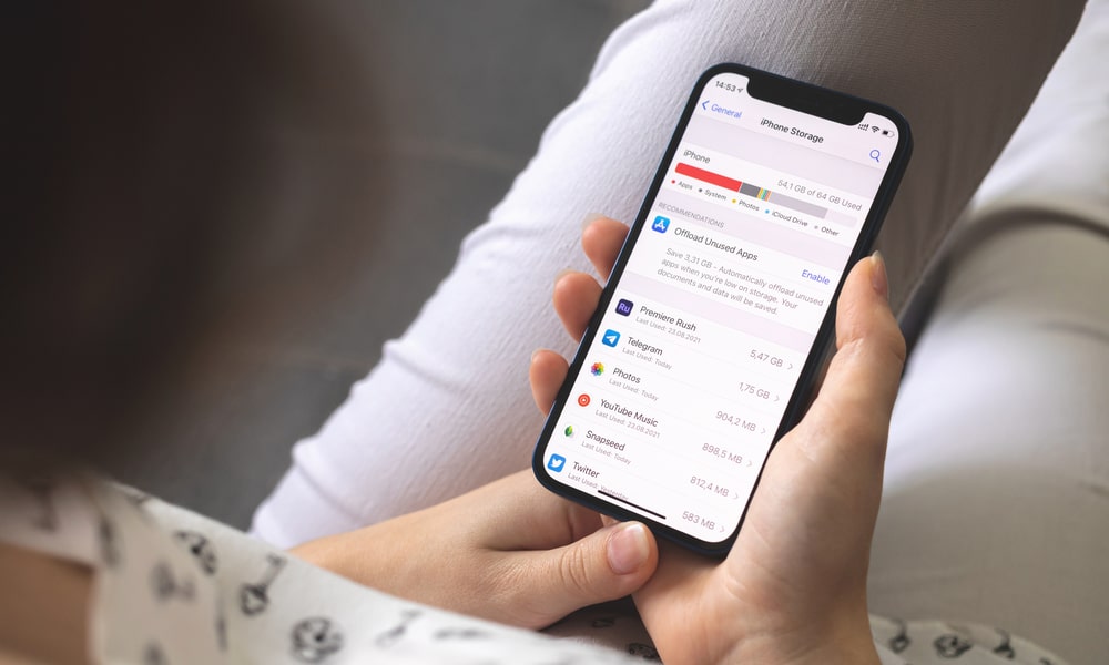 Have Your iPhone Storage Cleaned Up in No Time