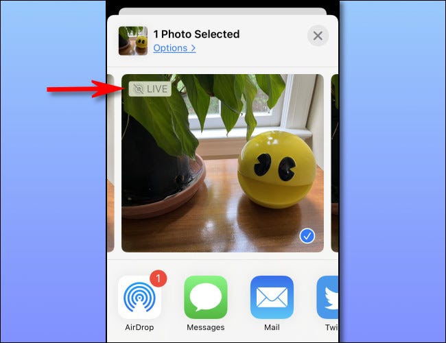 Tap "Live" to turn Live Photo off.