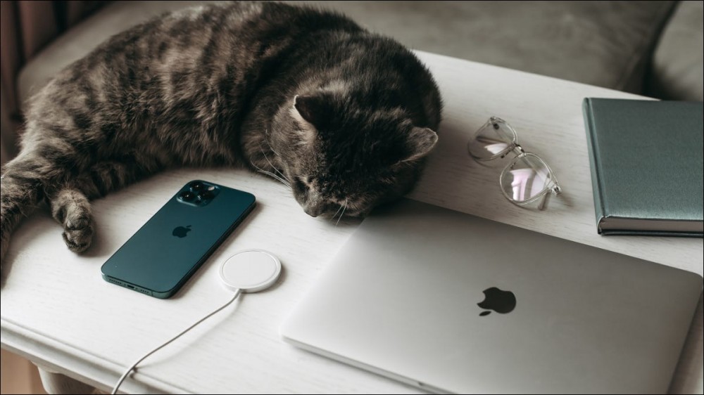 A cat sleeping next to an iPhone and a MacBook Pro.