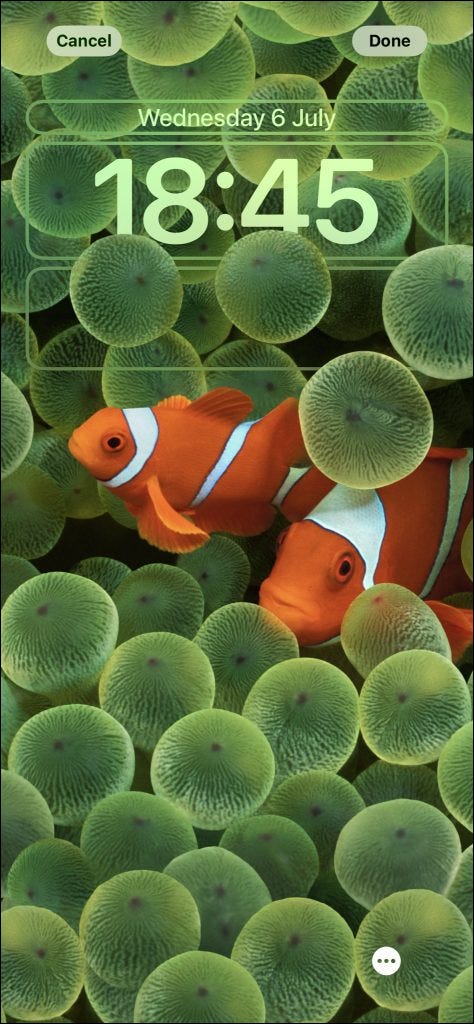 Wallpaper of two clownfishes on an iPhone