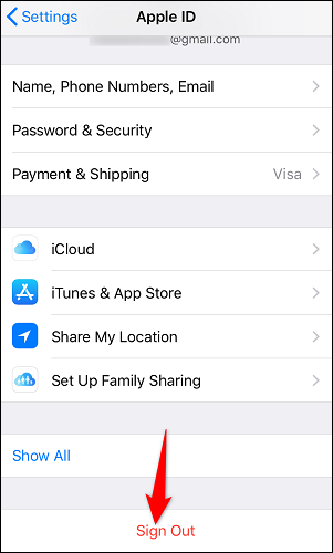Tap "Sign Out" at the bottom.