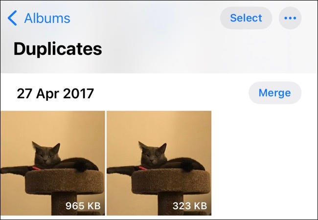 Photos app "Duplicates" album