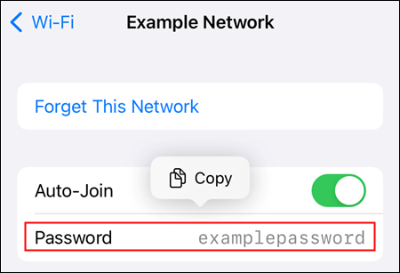 The password for the "Example" network. 