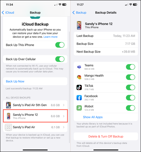 iCloud backup details on iPhone