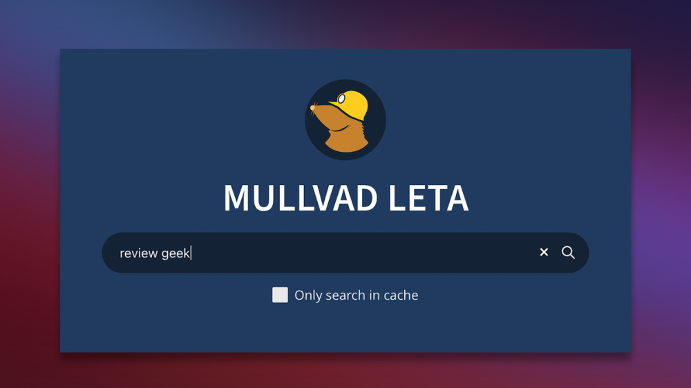 an image of the Mullvad Leta search engine.