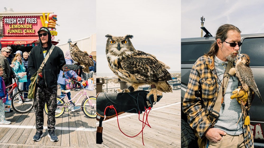 falconer with eagle-owl on boardwalk; eagle-owl sits on gloved hand; handler holds small falcon close to his face