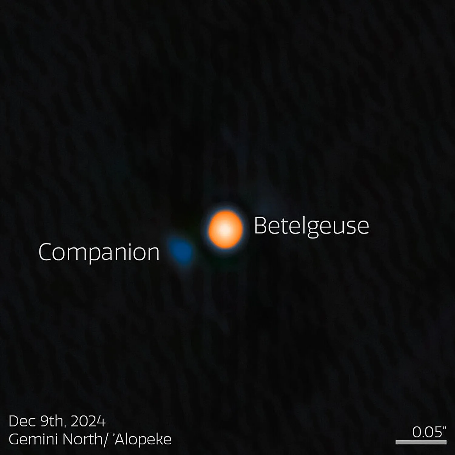 Using the 'Alopeke instrument on the Gemini North telescope, one half of the International Gemini Observatory, operated by NSF NOIRLab, astronomers have discovered a companion star in an incredibly tight orbit around Betelgeuse. This discovery answers the millennia-old question of why this famous star experiences a roughly six-year-long periodic change in its brightness, and provides insight into the physical mechanisms behind other variable red supergiants. The companion star appears blue here because, based on the team's analysis, it is likely an A- or B-type star, both of which are blue-white due to their high temperatures. Credit: International Gemini Observatory/NOIRLab/NSF/AURA. Processing: M. Zamani (NSF NOIRLab)