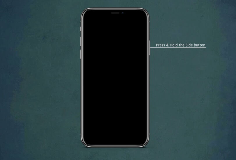Press and hold the side button on iphone 11