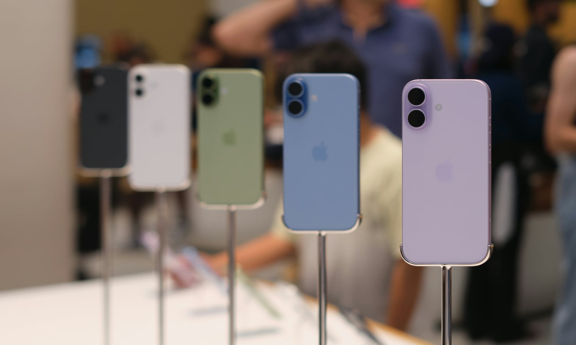 Four iPhone 17 models of varying colors on display in a retail setting, highlighting the dual-camera lens module and sleek aluminum frame.