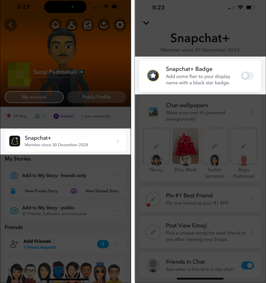 Toggling off Snapchat+ Badge on iPhone.